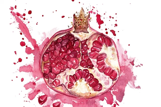 1117 Granatapfel 2